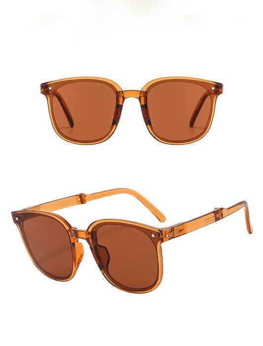 113_C2_Folding_Brown_Plastic_Frame_Sunglasses