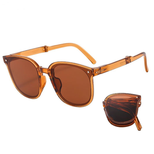 113_C2_Folding_Brown_Plastic_Frame_Sunglasses