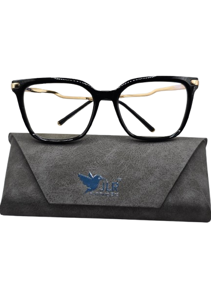 Elegant Black Eyeglasses – Gold Temple Detail with Protective Case – Unisex