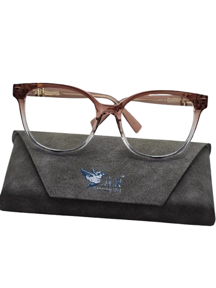 Brown and Clear Eyeglasses with Protective Storage Case